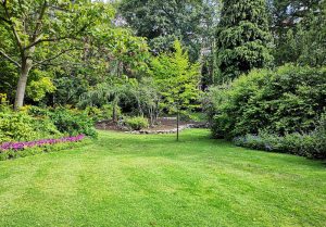 Optimiser l'expérience du jardin à Mercin-et-Vaux